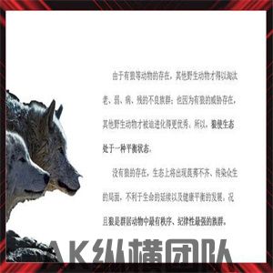 1-2505141536451c.jpg