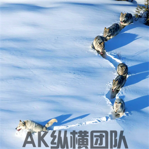 1-250514203Q5I0.png