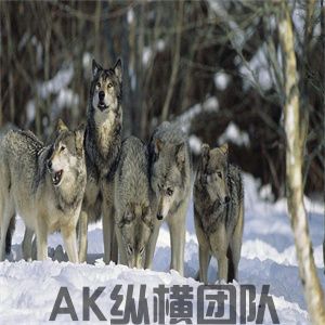 1-250515141011H7.jpg