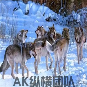 1-25051621024M46.jpg