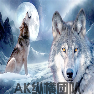 1-25051G4405X42.png